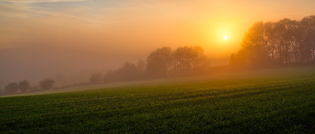 First light breaking over a quiet, mist-covered field at dawn
